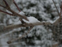 Winter in Bremen